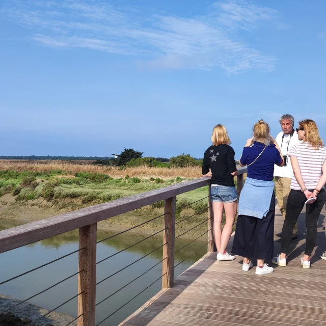 Un groupe de personnes lors d'une visite guidée sur une passerelle dans la réserve naturelle.