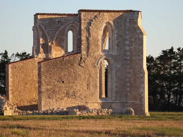 Ruines de l'abbaye des Châteliers au coucher du soleil