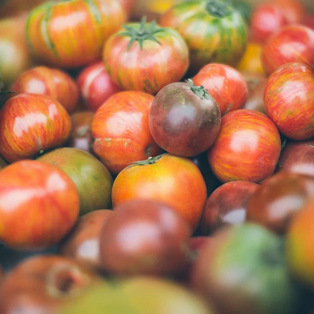 Tomates rouges et vertes