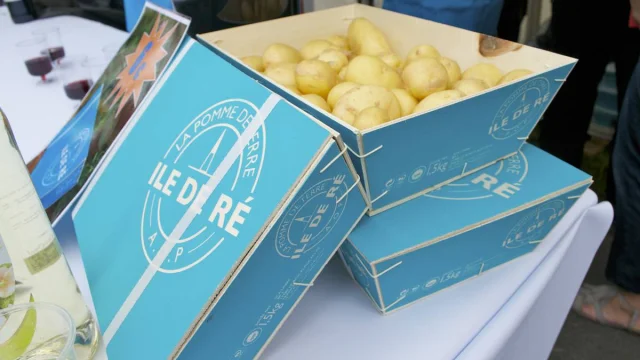 Cagette remplie de pommes de terre de l'île de Ré, dans une boîte bleue marquée.