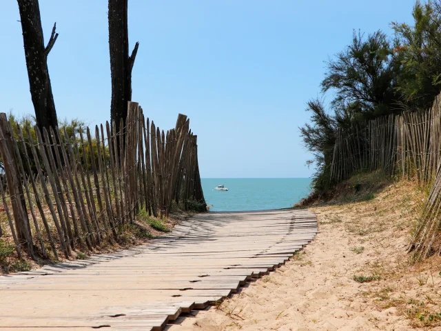 Chemin sablonneux bordé de végétation menant à la plage