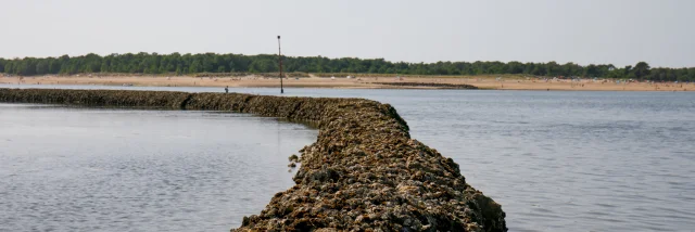 Une écluse à poissons en pierre s'étendant dans la mer sur l'île de Ré.