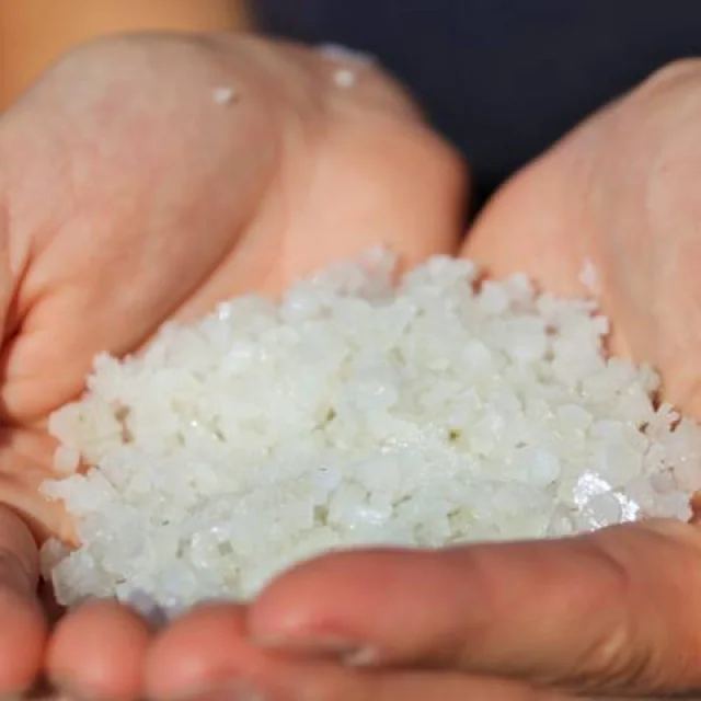 Deux paumes de mains tenant une pile de sel cristallisé blanc.