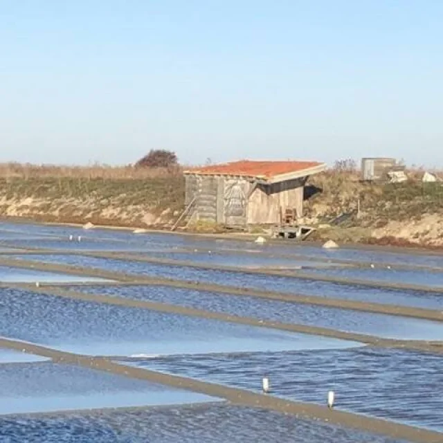 Un photographe en action, prenant des photos des marais salants avec un appareil professionnel.