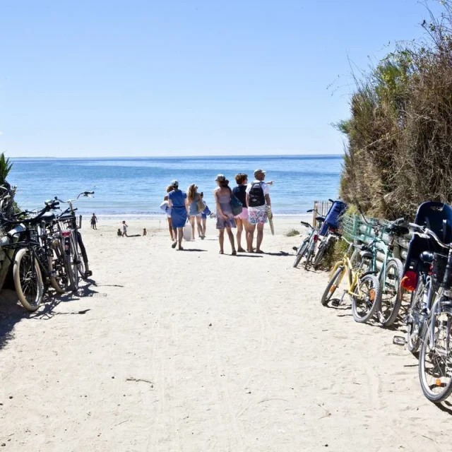 Des personnes marchent vers la plage avec des vélos garés de chaque côté du chemin sablonneux pour un pique nique