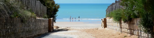 Un chemin sablonneux mène à une plage boisée en Charente-Maritime avec l'océan en arrière-plan.