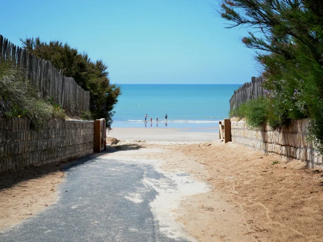 Un chemin sablonneux mène à une plage boisée en Charente-Maritime avec l'océan en arrière-plan.