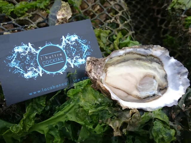 Presentation Oyster La Cabane Oceane La Flotte Reportage