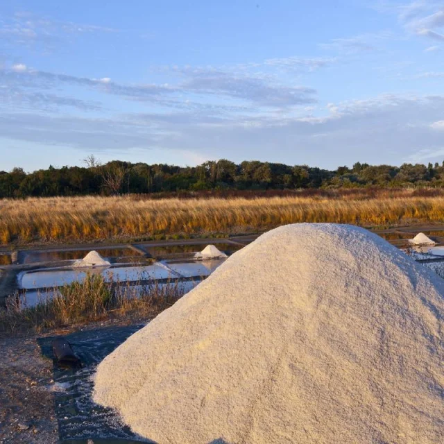 Monticule de sel en forme de pyramide