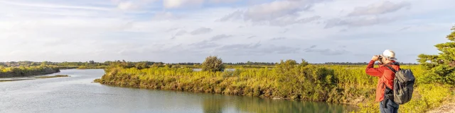 Randonneur explorant la réserve naturelle sur l'île de Ré.