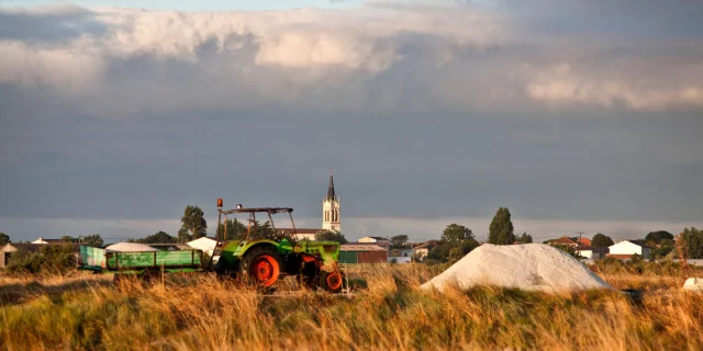 Tracteur transportant du sel dans un marais salant