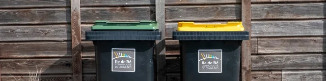 Deux poubelles de tri sélectif, une jaune et une verte, devant un mur en bois.