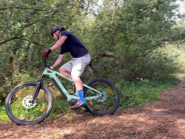 Personne pratiquant du VTT dans les bois avec un vélo Holland Bikes