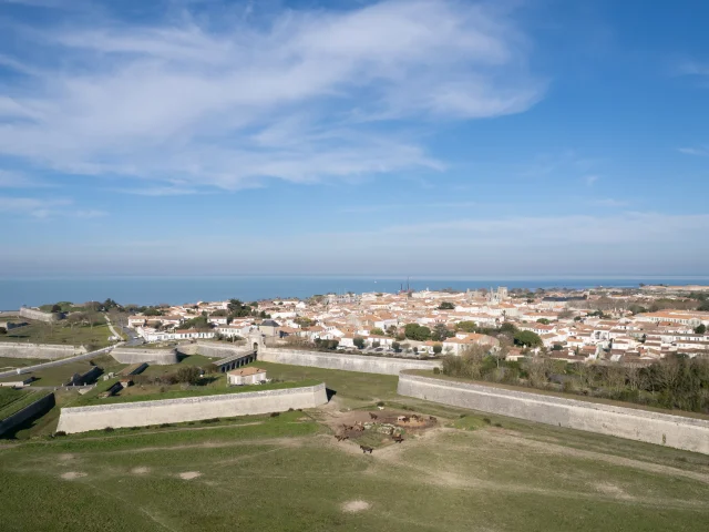 Aerial view Fortification Saint Martin Ile De Re Jules Serrurier