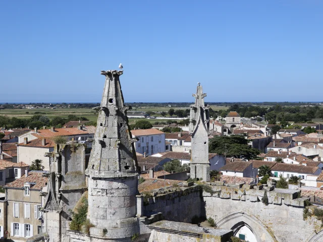 Vue du clocher observatoire de Saint-Martin avec ses structures environnantes.