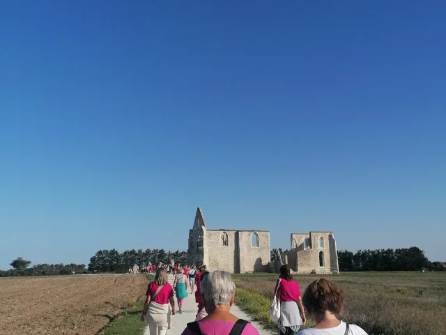 Abbaye Des Châteliers La Flotte Marche Octobre Rose