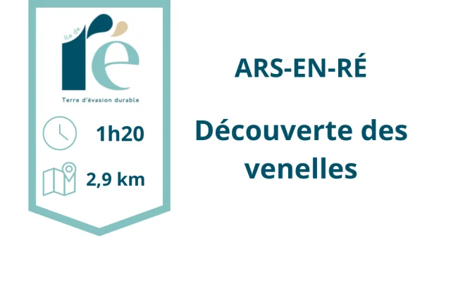 Ars Venelles